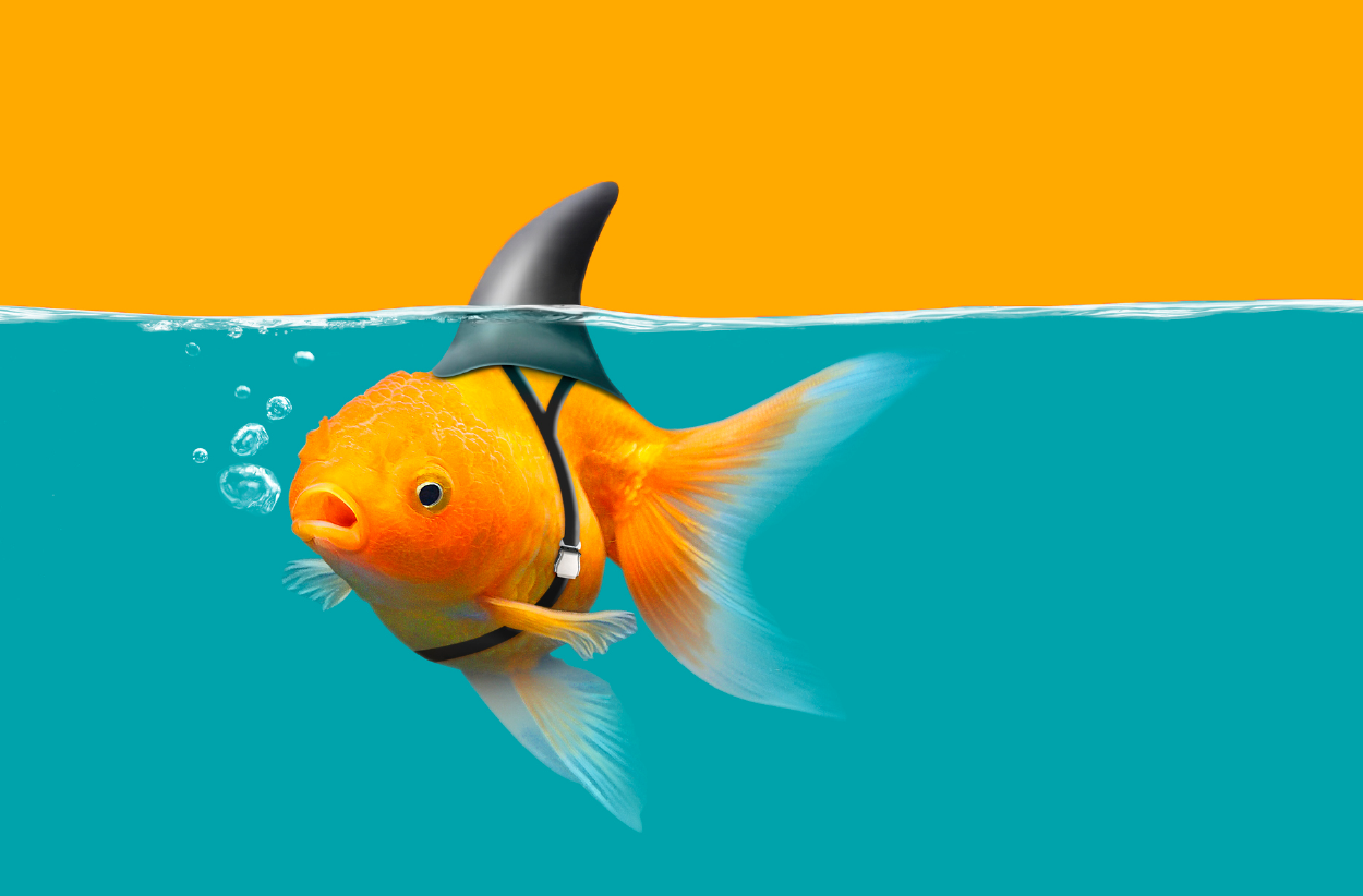 How to safely cross the Ocean of AWS APN Service Path – Partner Scorecard Explained 